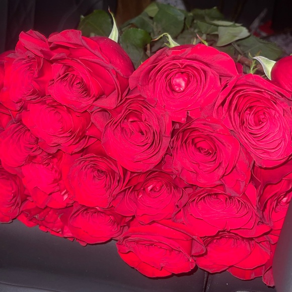 Meet your Posher, Sara - Picture 1 of 1